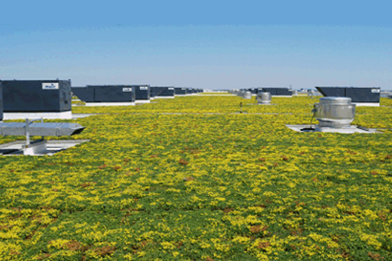 Green roof at O'Hare